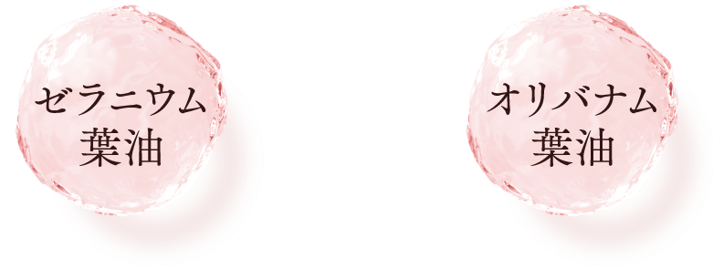 ゼラニウム葉油 オリバナム葉油